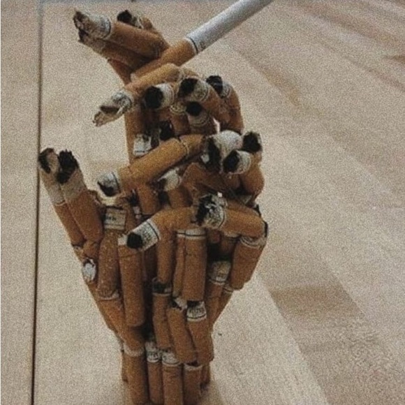 Meet your Posher, Zaza - Picture 5 of 6